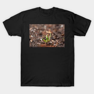 New Life T-Shirt